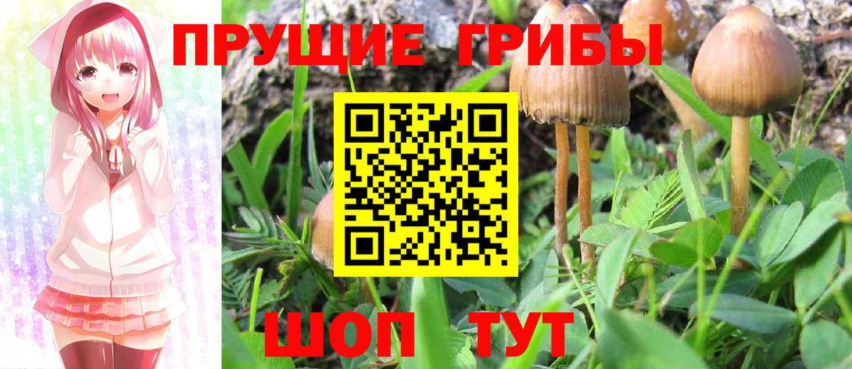 Галлюциногенные грибы Cubensis  Вход с VPN  Галлюциногенные грибы мухоморы  где найти наркотики  Уварово 